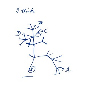 Evolución/Paleontología/ Geología